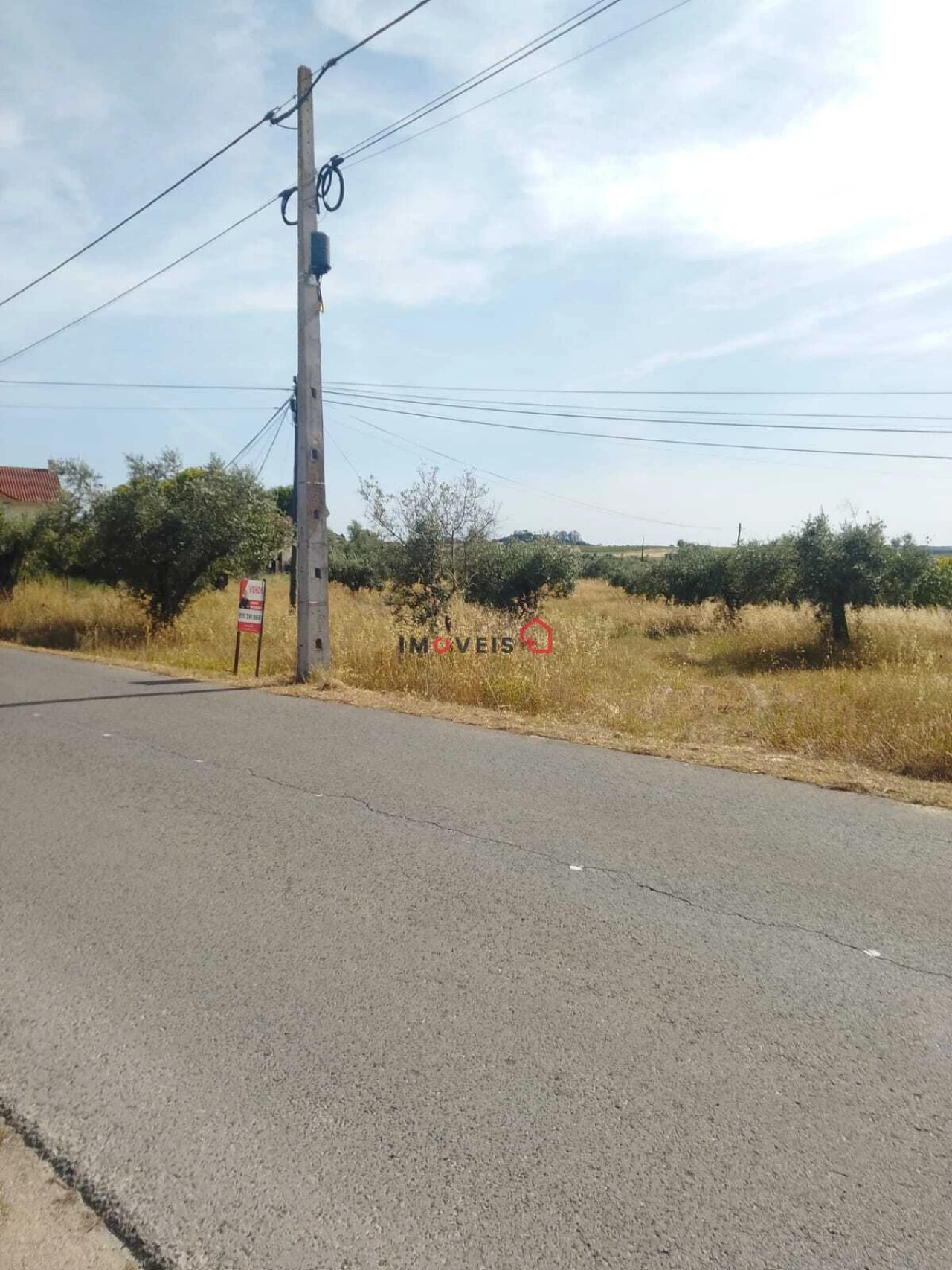 Terreno para Venda em São Vicente do Paul e Vale de Figueira Foto 2