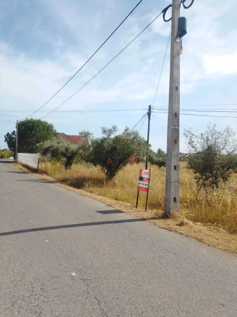 Terreno para Venda em São Vicente do Paul e Vale de Figueira