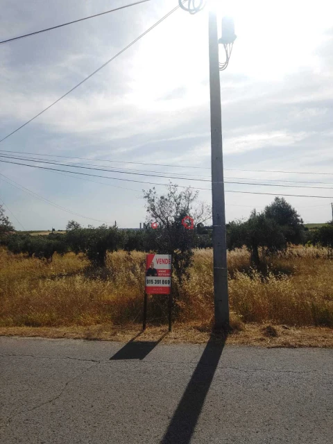 Terreno para Venda em São Vicente do Paul e Vale de Figueira