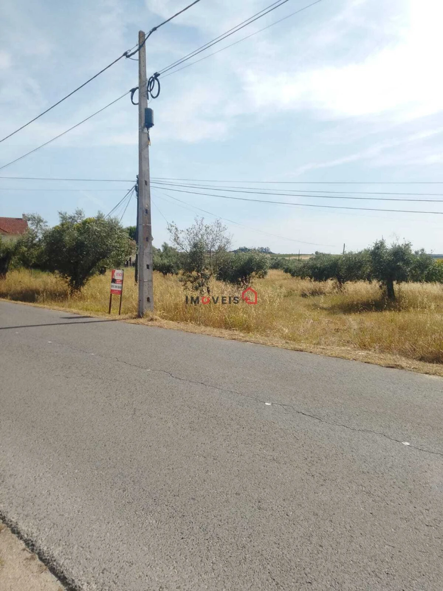 Terreno para Venda em São Vicente do Paul e Vale de Figueira Foto 2