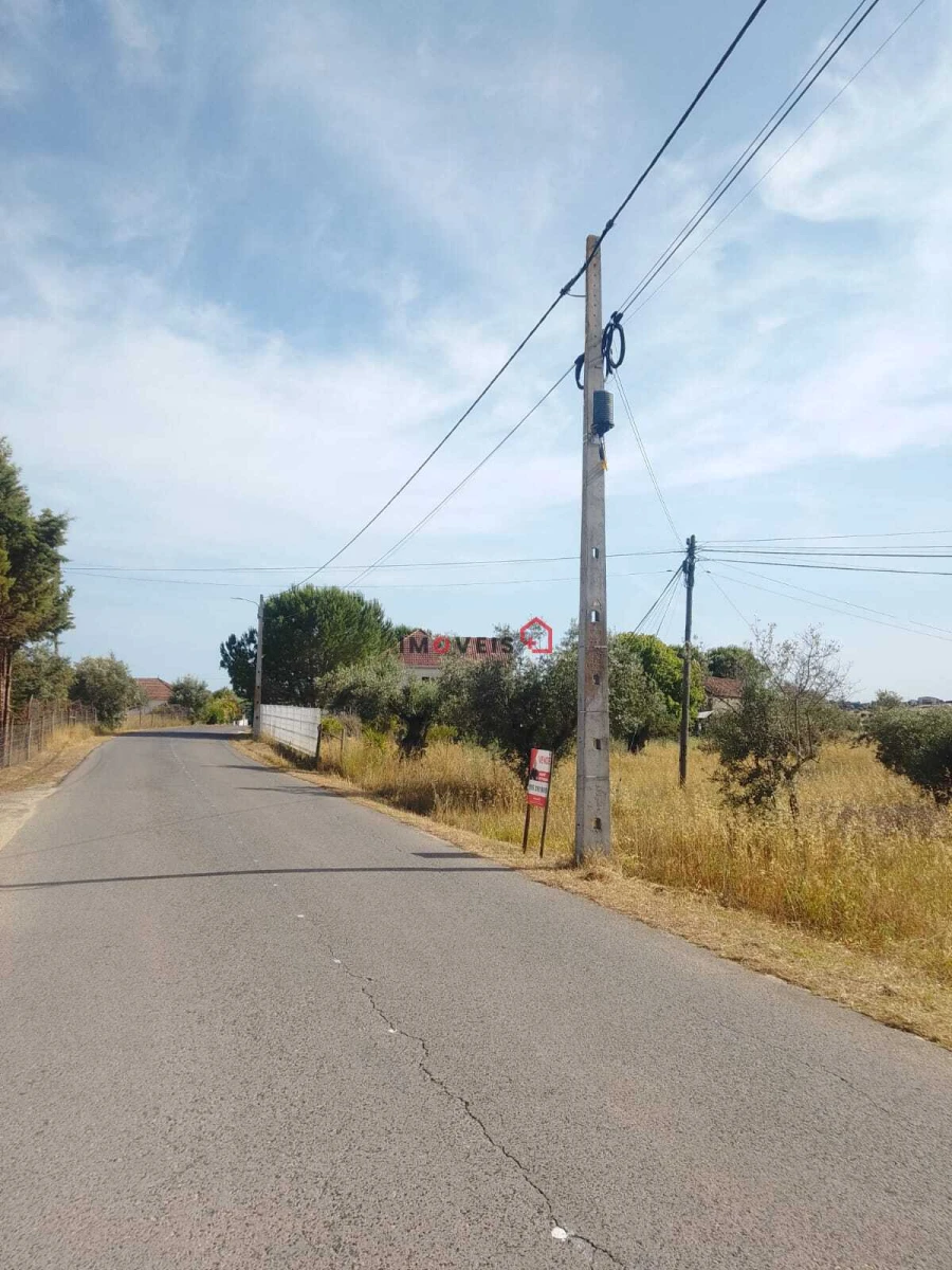 Terreno para Venda em São Vicente do Paul e Vale de Figueira Foto 4
