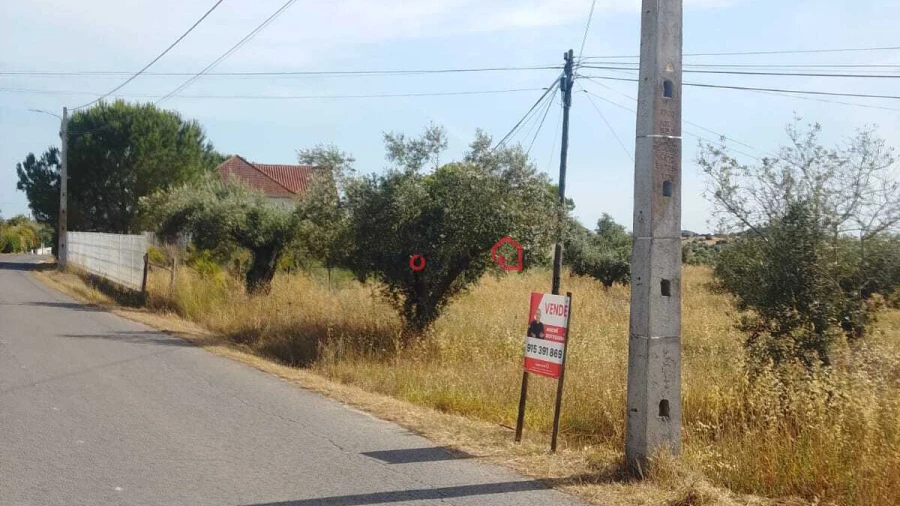 Terreno para Venda em São Vicente do Paul e Vale de Figueira