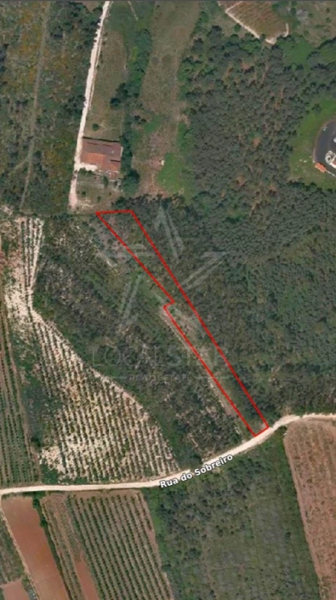 Terreno para Venda em Nossa Senhora do Pópulo, Coto e São Gregório