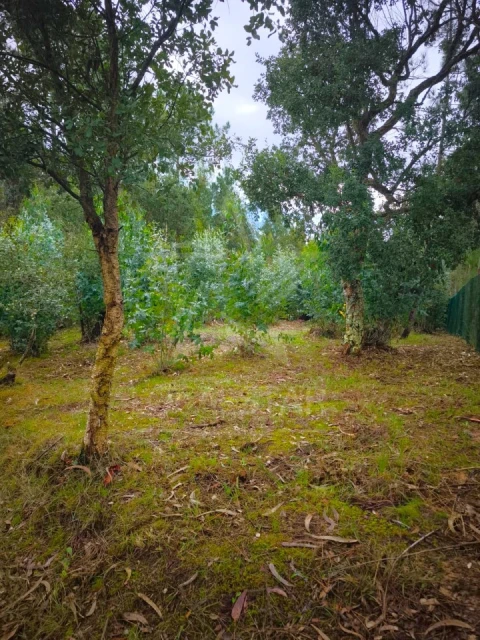 Terreno para Venda em Nossa Senhora do Pópulo, Coto e São Gregório