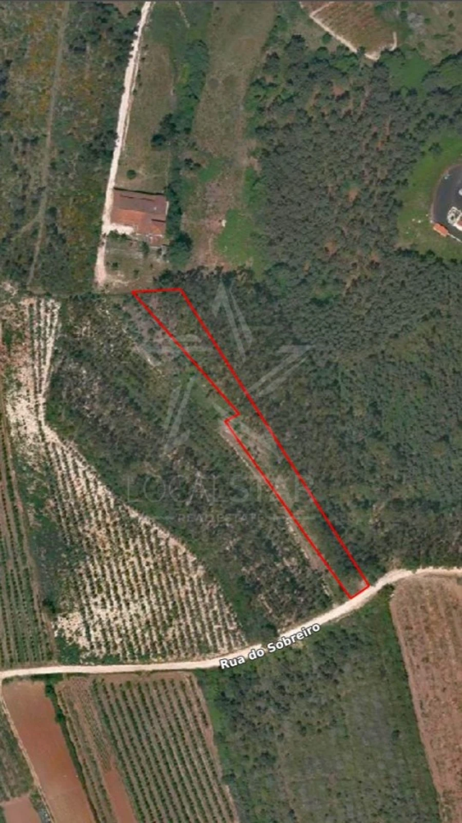 Terreno para Venda em Nossa Senhora do Pópulo, Coto e São Gregório Foto 5