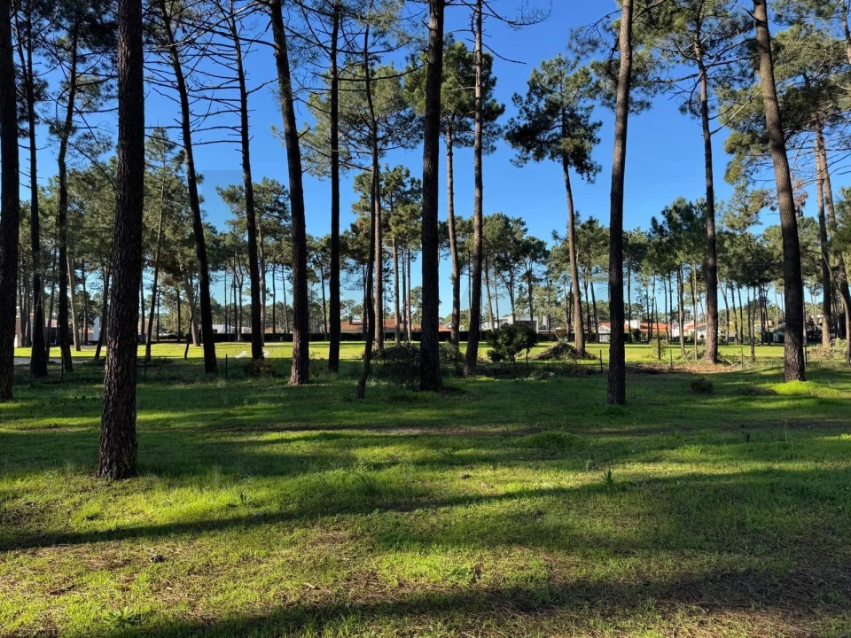 Apartamento T3 para Arrendamento em Charneca de Caparica e Sobreda Foto 8