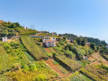 Terreno para Venda em Estreito de Camara de Lobos