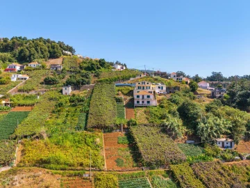 Terreno para Venda em Estreito de Camara de Lobos