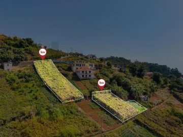 Terreno para Venda em Estreito de Camara de Lobos