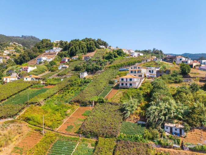 Terreno para Venda em Estreito de Camara de Lobos Foto 9