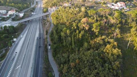 Terreno para Venda em Santa Clara e Castelo Viegas