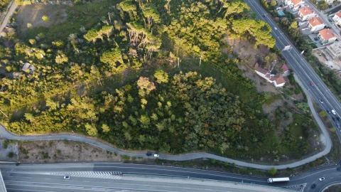 Terreno para Venda em Santa Clara e Castelo Viegas