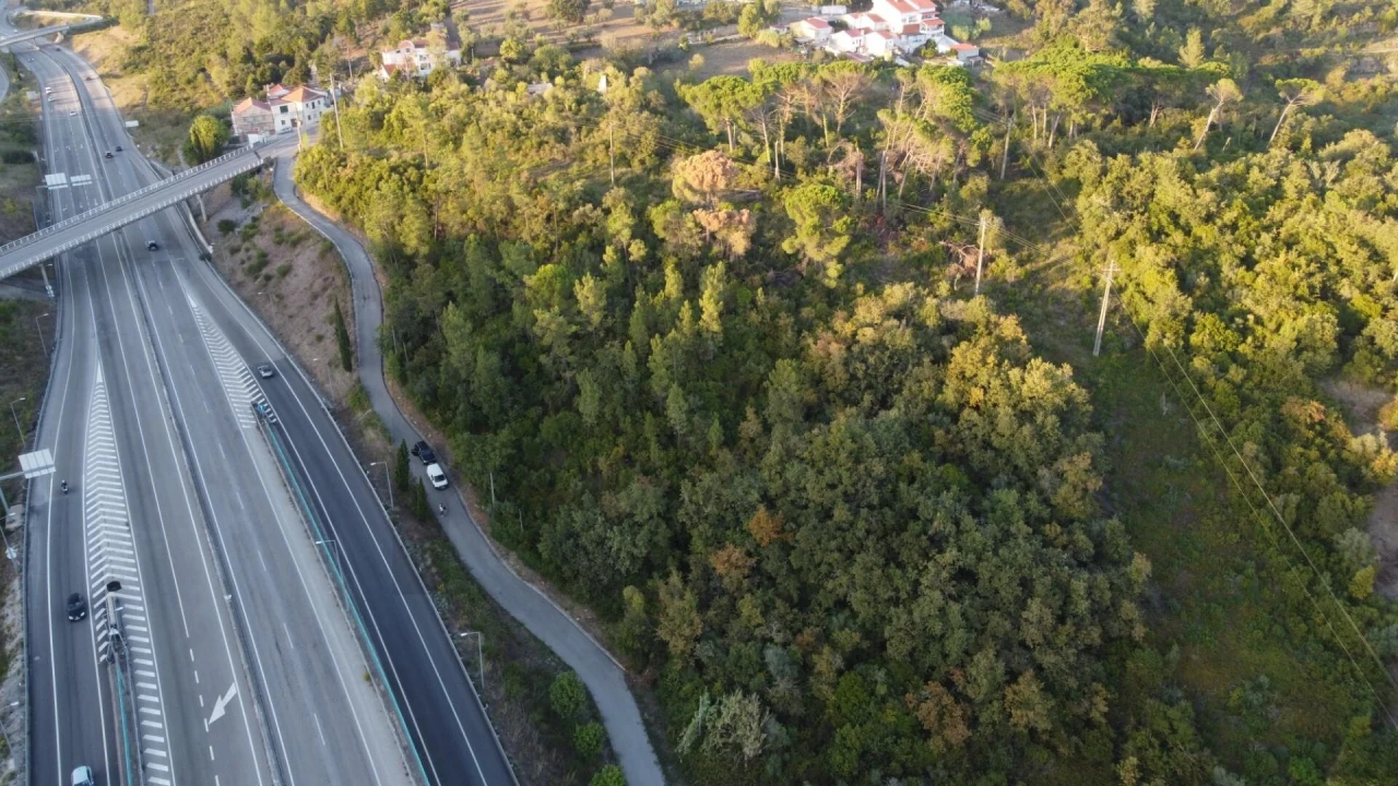 Terreno para Venda em Santa Clara e Castelo Viegas Foto 5