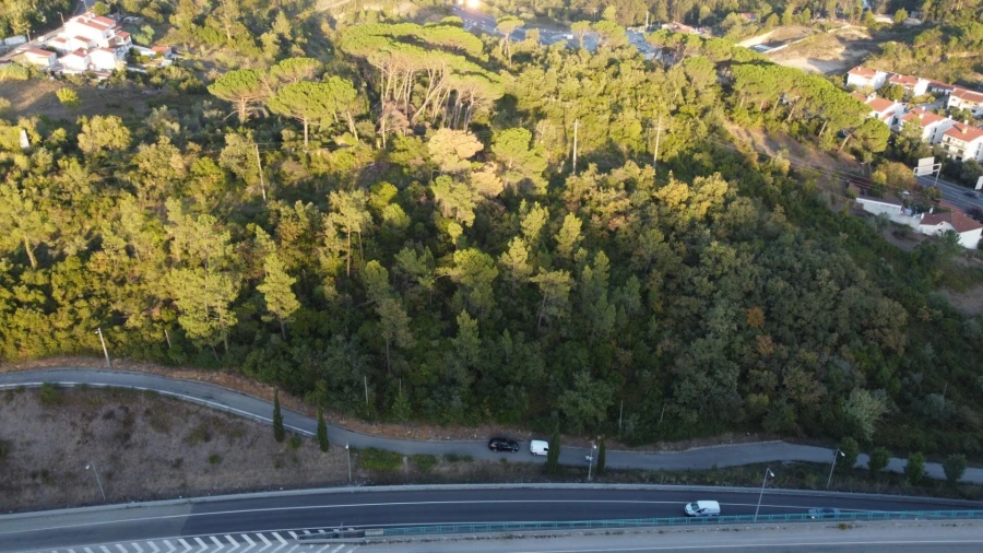 Terreno para Venda em Santa Clara e Castelo Viegas Foto 8
