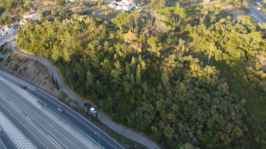 Terreno para Venda em Santa Clara e Castelo Viegas Foto 7