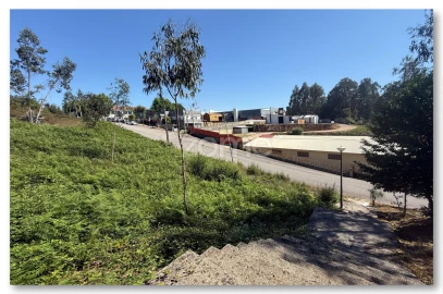 Terreno para Venda em Caldas de São Jorge e Pigeiros