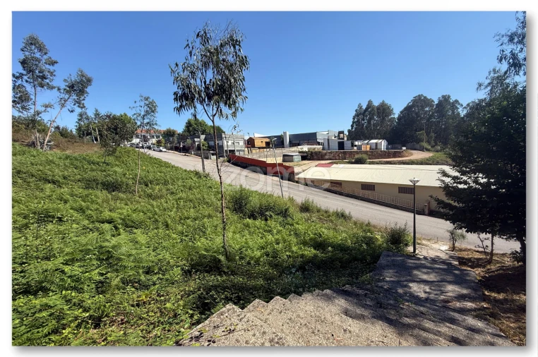 Terreno para Venda em Caldas de São Jorge e Pigeiros Foto 11