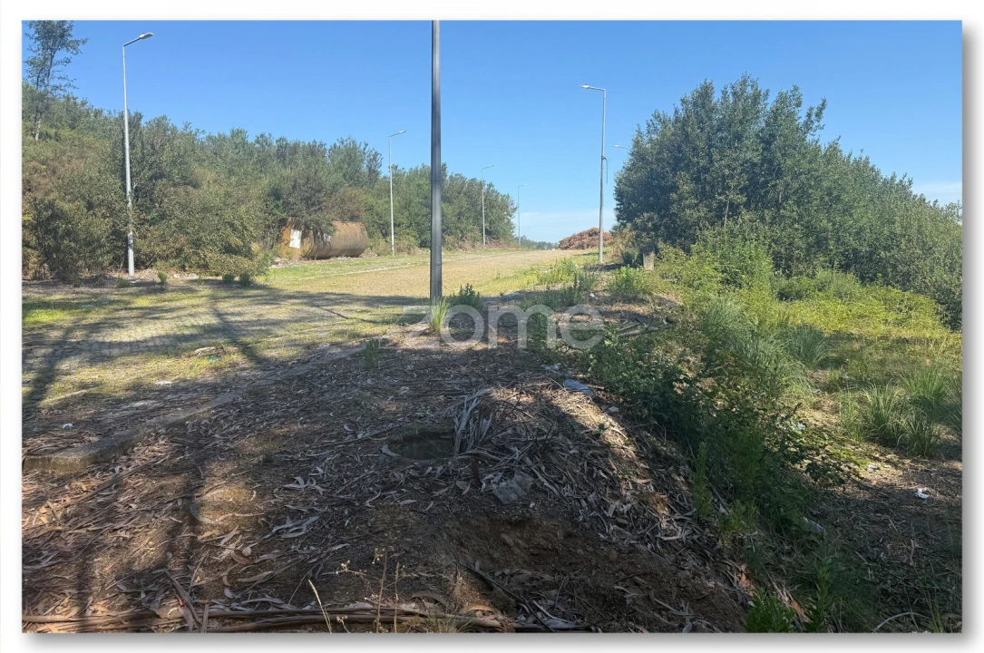 Terreno para Venda em Caldas de São Jorge e Pigeiros Foto 13