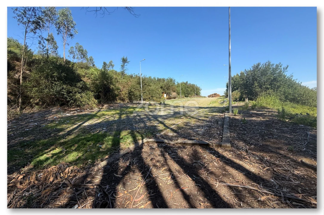Terreno para Venda em Caldas de São Jorge e Pigeiros Foto 15
