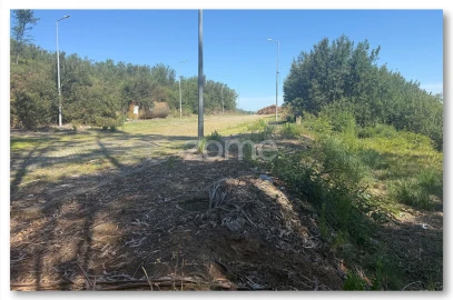Terreno para Venda em Caldas de São Jorge e Pigeiros