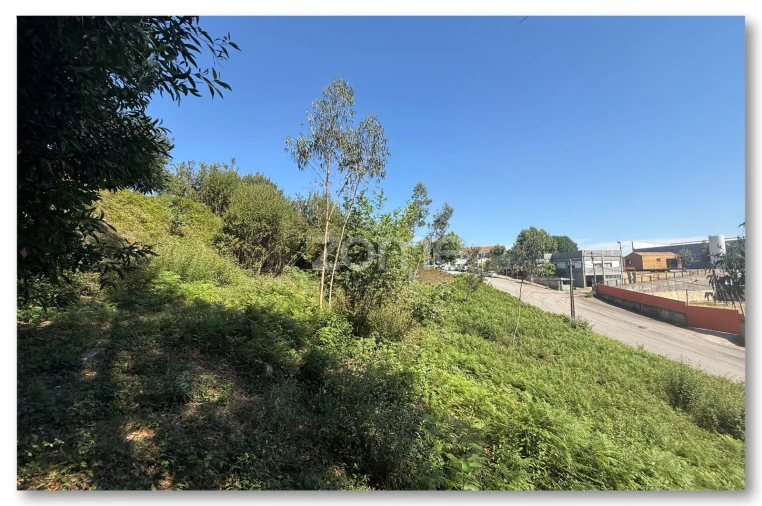 Terreno para Venda em Caldas de São Jorge e Pigeiros Foto 12