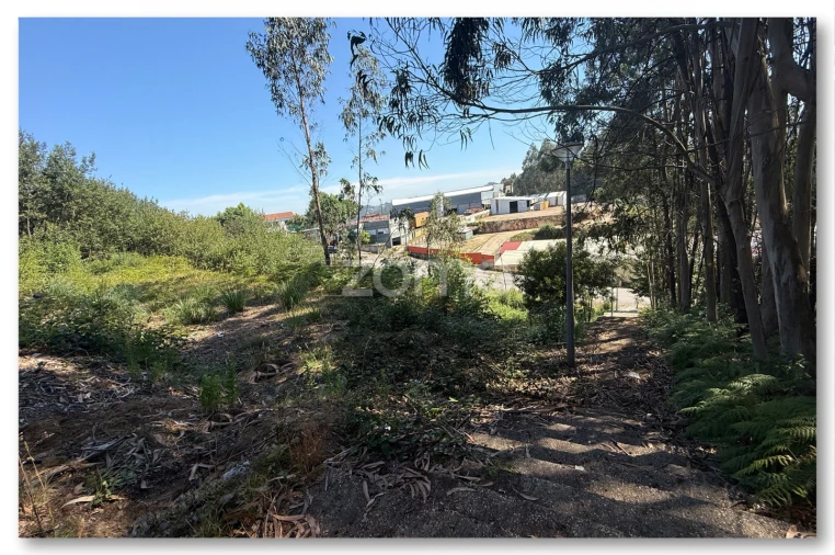 Terreno para Venda em Caldas de São Jorge e Pigeiros Foto 14