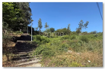 Terreno para Venda em Caldas de São Jorge e Pigeiros
