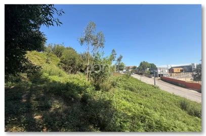 Terreno para Venda em Caldas de São Jorge e Pigeiros