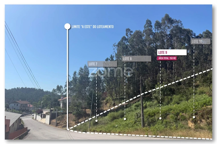 Terreno para Venda em Caldas de São Jorge e Pigeiros Foto 3