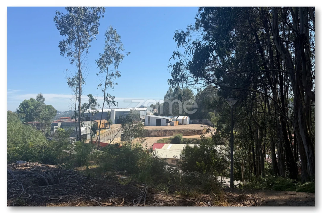 Terreno para Venda em Caldas de São Jorge e Pigeiros Foto 15