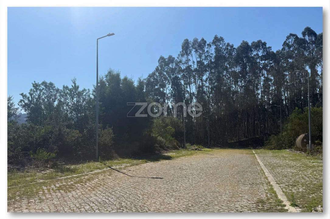 Terreno para Venda em Caldas de São Jorge e Pigeiros Foto 16