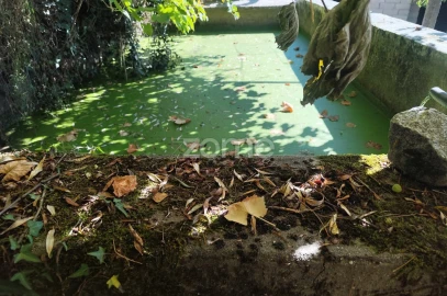 Moradia T2 para Venda em Campelo e Ovil