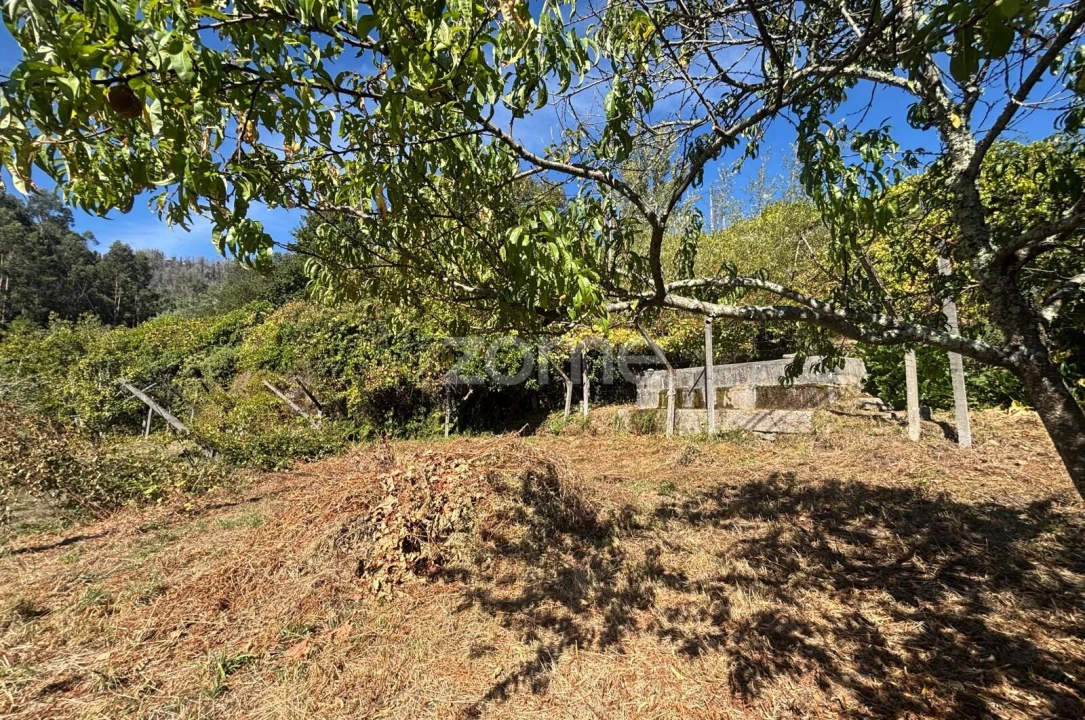 Moradia T2 para Venda em Campelo e Ovil Foto 21