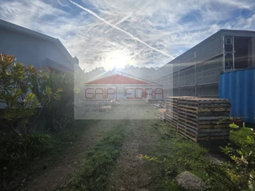 Terreno para Venda em Madalena