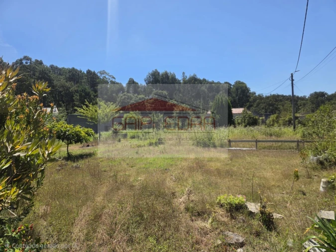 Terreno para Venda em Madalena Foto 5