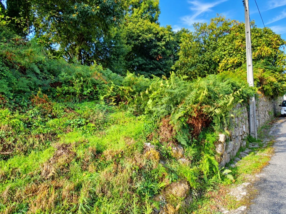 Terreno para Venda em Cristelo Foto 5