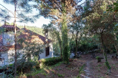 Quinta T7 para Venda em Ramada e Caneças