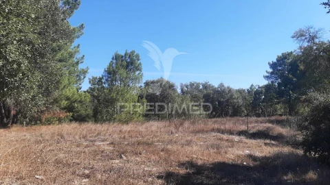 Terreno para Venda em Gambia-Pontes-Alto da Guerra