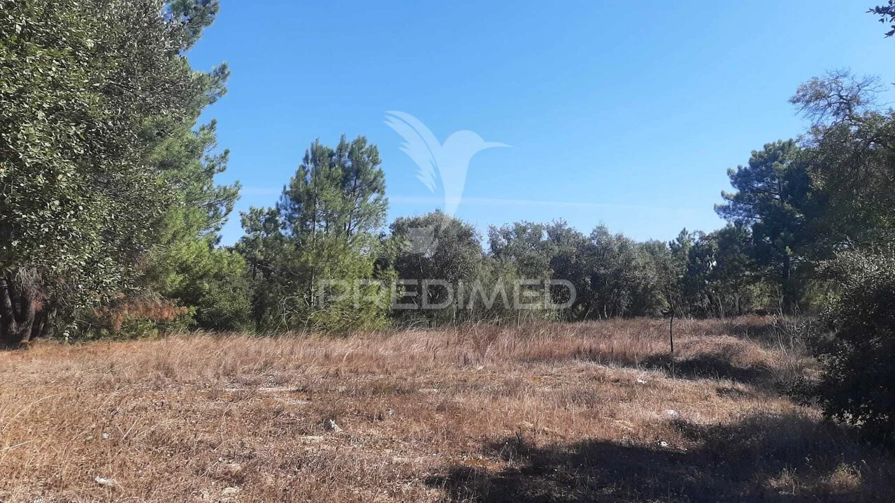 Terreno para Venda em Gambia-Pontes-Alto da Guerra Foto 4