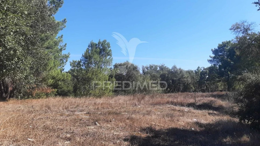 Terreno para Venda em Gambia-Pontes-Alto da Guerra Foto 4