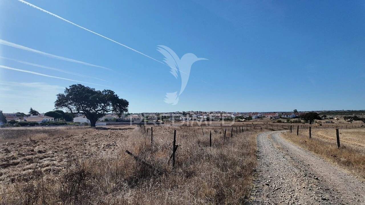 Terreno para Venda em Rosario Foto 6