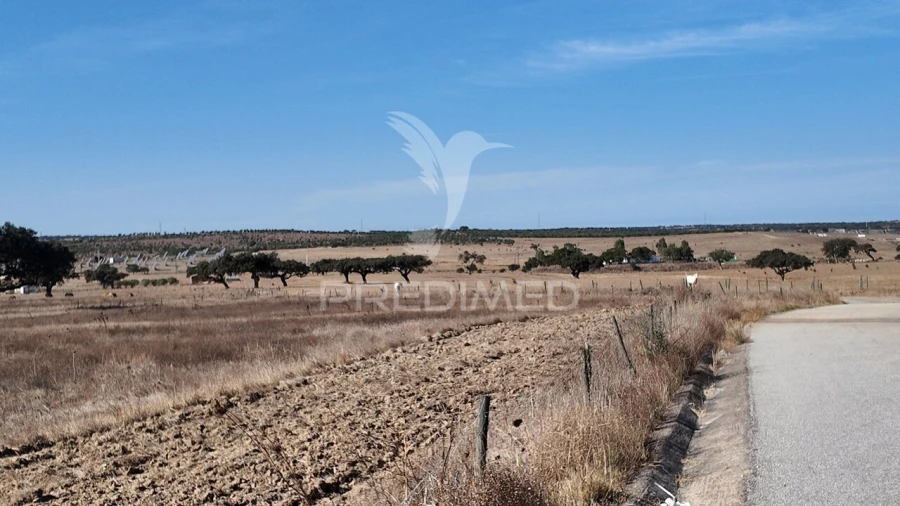Terreno para Venda em Rosario Foto 5