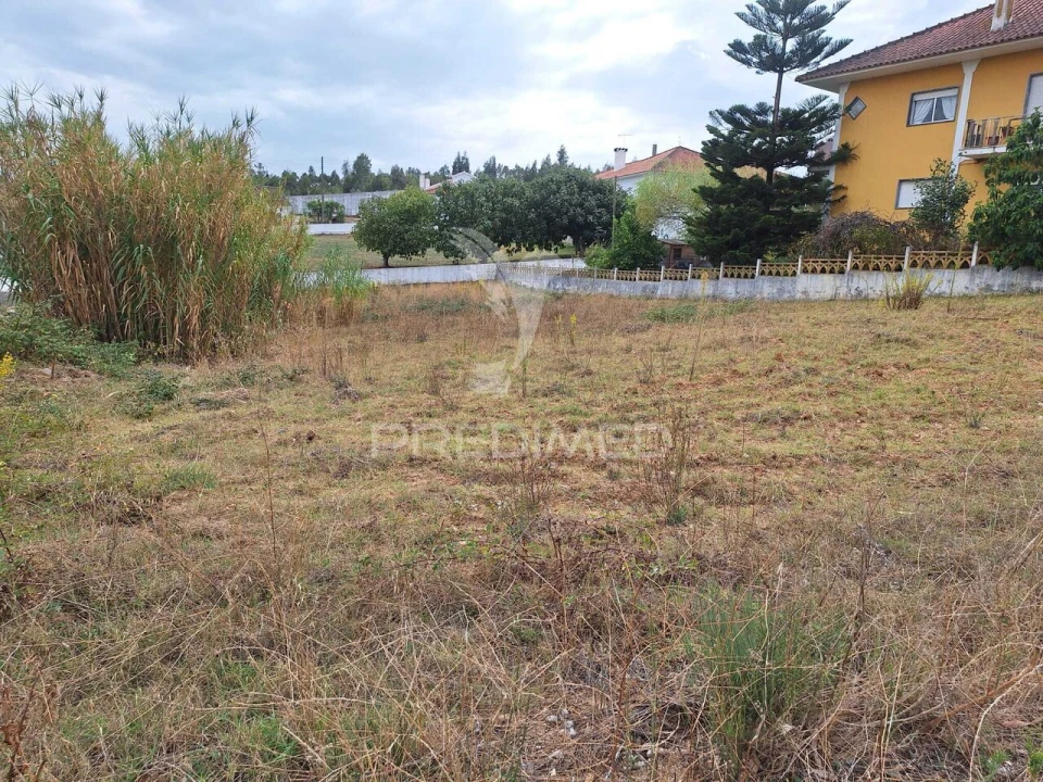 Terreno para Venda em Alcanede Foto 1