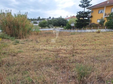 Terreno para Venda em Alcanede