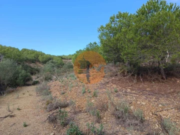 Terreno para Venda em Alcoutim e Pereiro