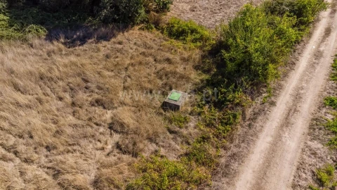 Quinta T0 para Venda em Fundão, Valverde, Donas, A. Joanes, A. Nova Cabo
