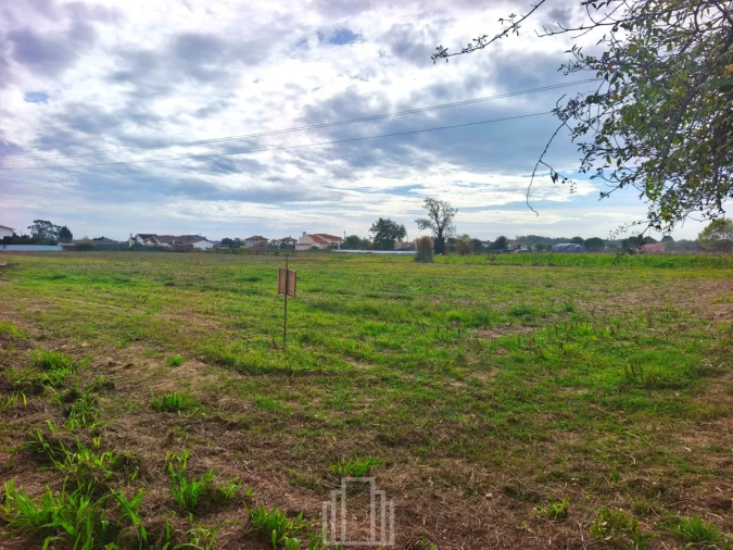 Terreno para Venda em Valega Foto 5