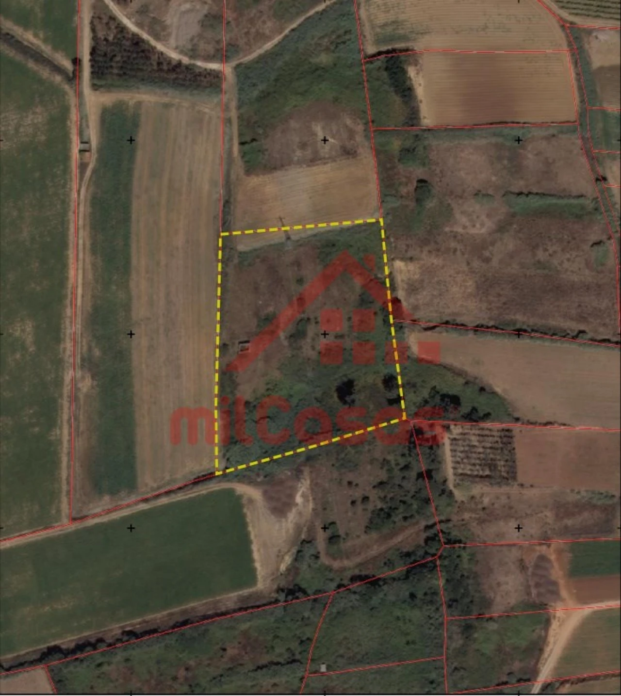 Terreno Agricola ou Rústico para Venda em Atouguia da Baleia Foto 1