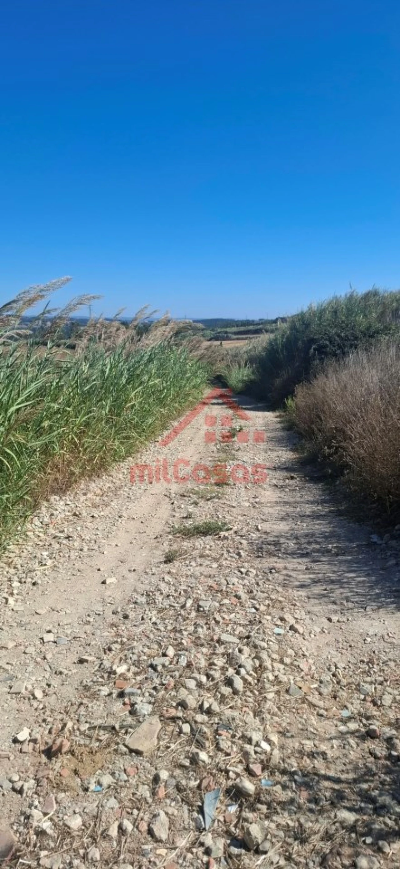 Terreno Agricola ou Rústico para Venda em Atouguia da Baleia Foto 3