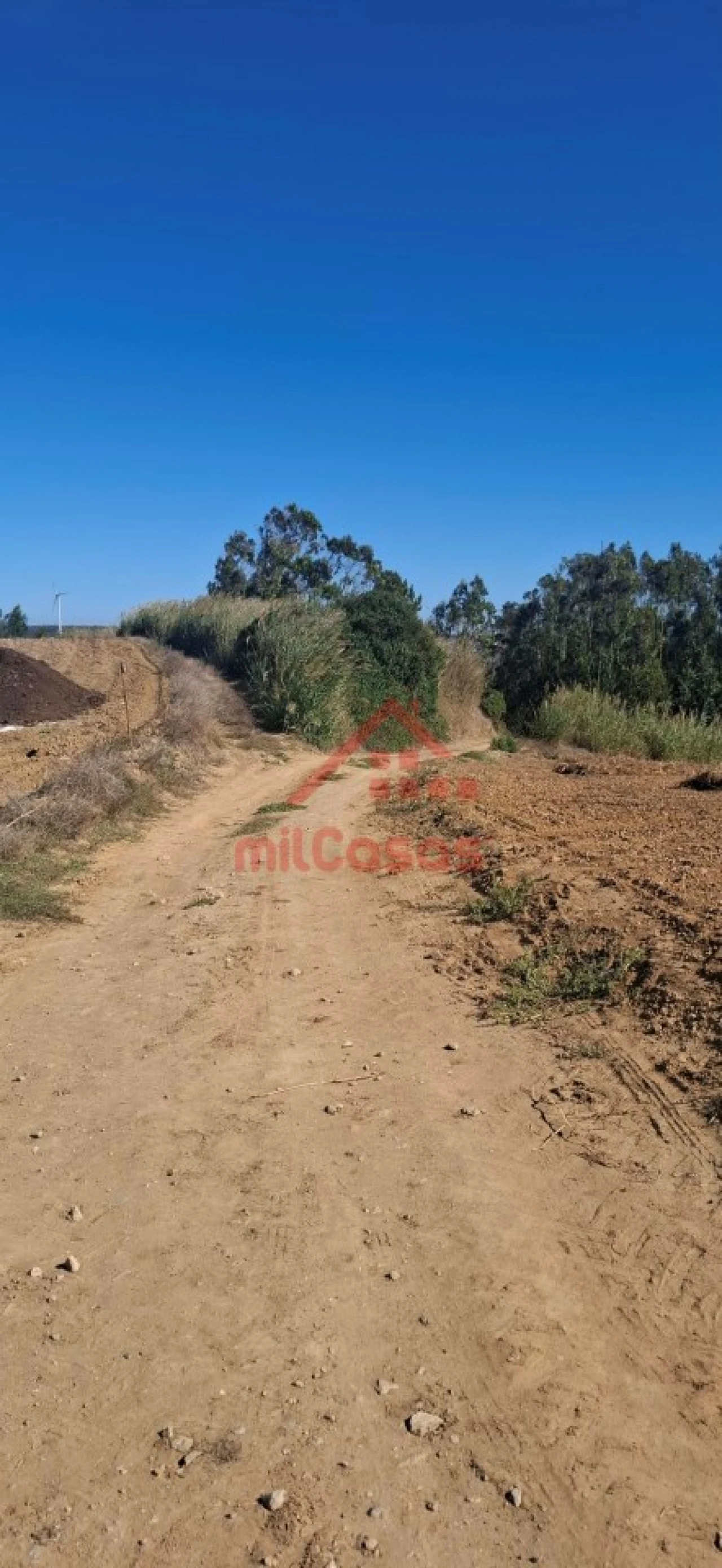 Terreno Agricola ou Rústico para Venda em Atouguia da Baleia Foto 4